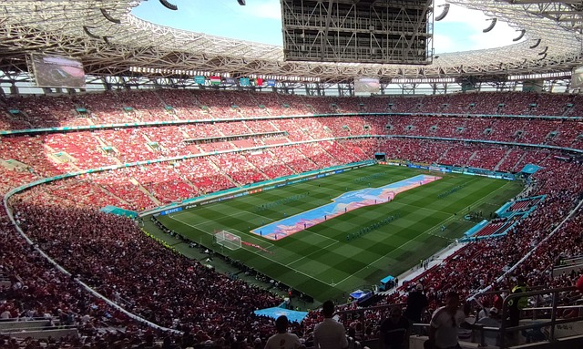 鵜鶘的長期 鵜鶘的長期