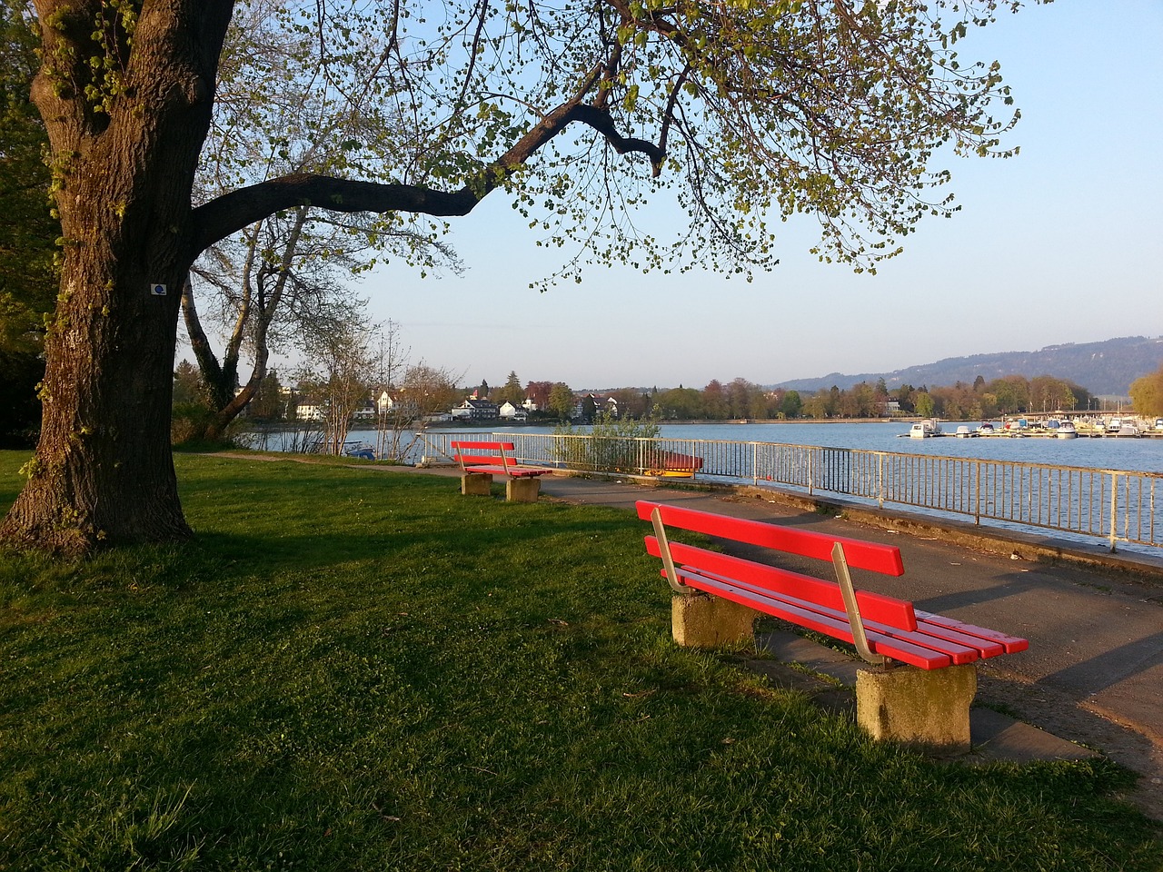 乐部必须解 乐部必须解