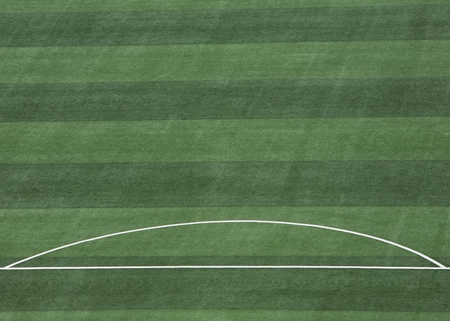 保罗的表现 保罗的表现