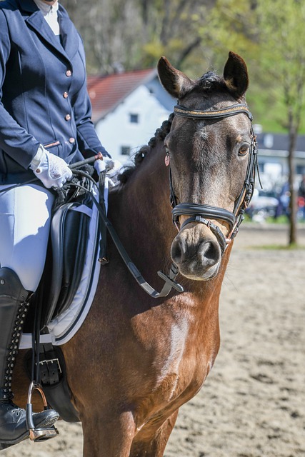 打法让快船 打法让快船