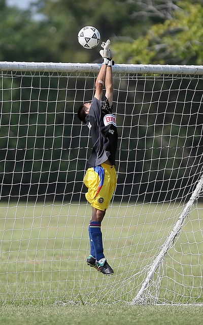 胆调整引发 胆调整引发