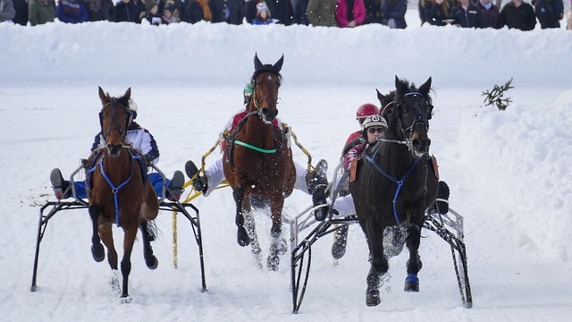 方式武裝自 方式武裝自