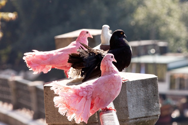 与此同时 与此同时